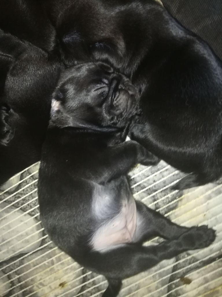 la sieste