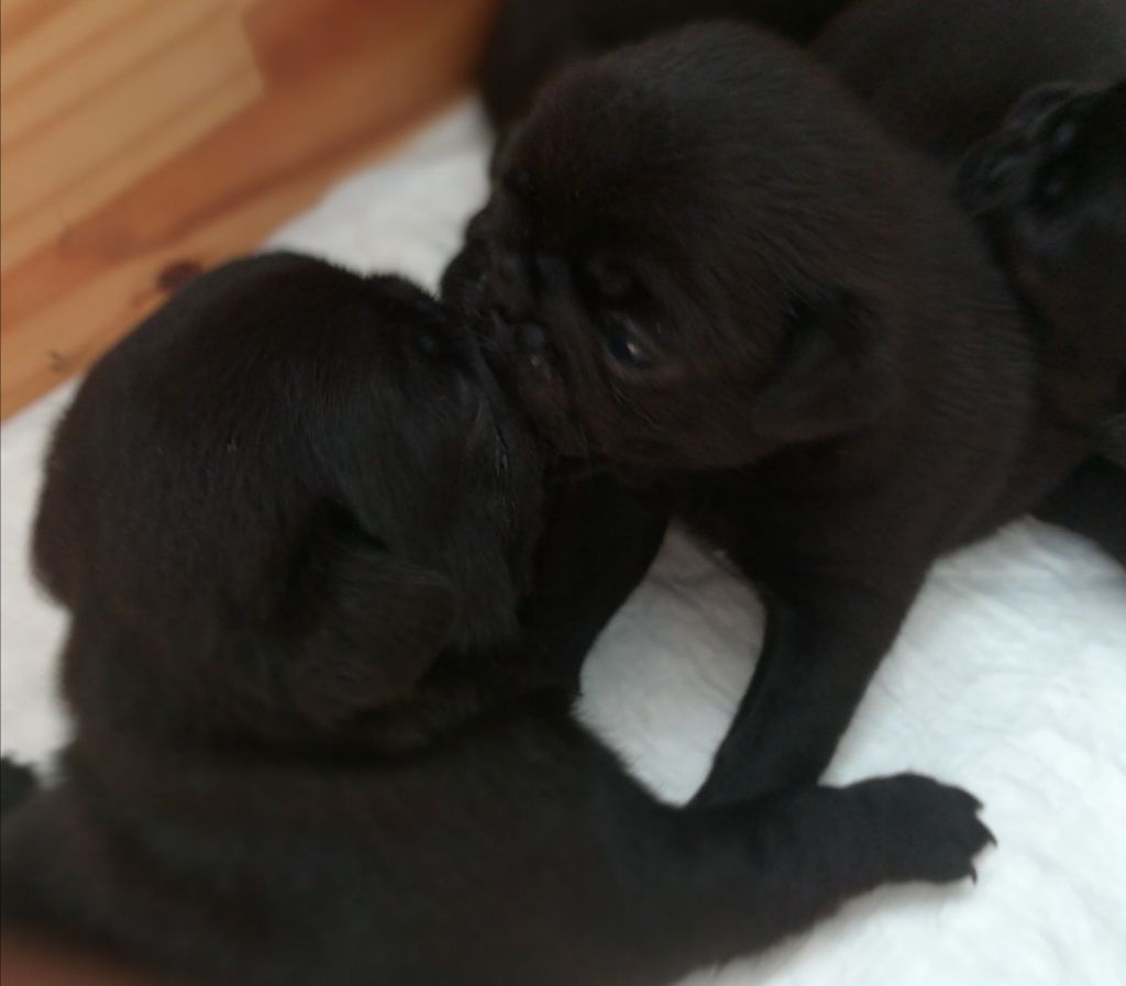 Des bisous