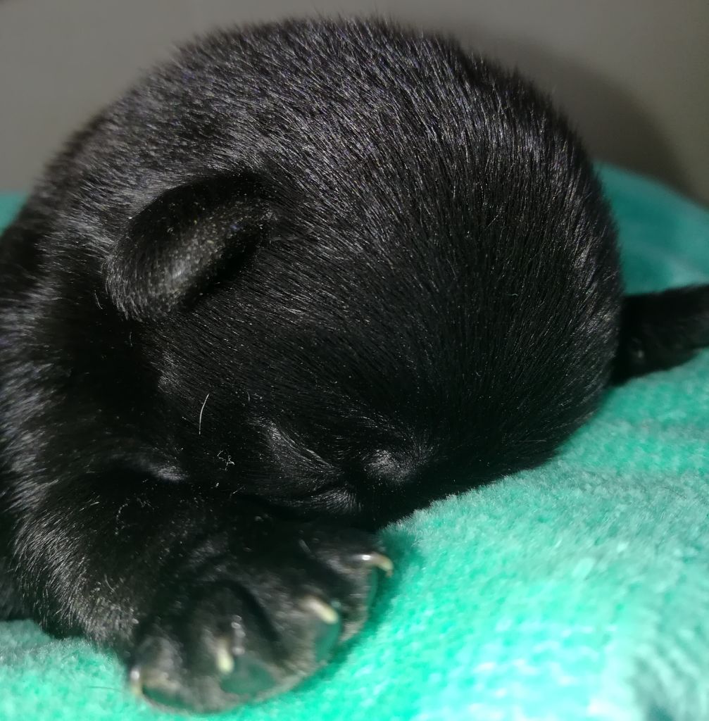Bébés